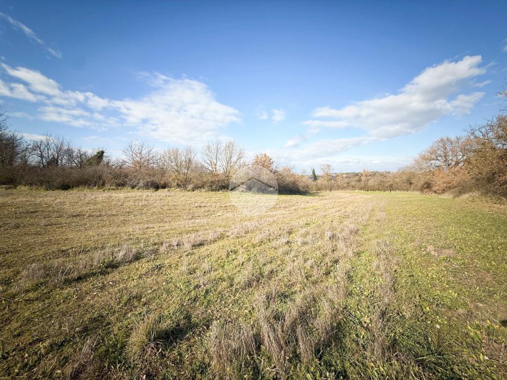 Ter Agricolo In Vendita A Nepi Vigne Nuove Viterbo