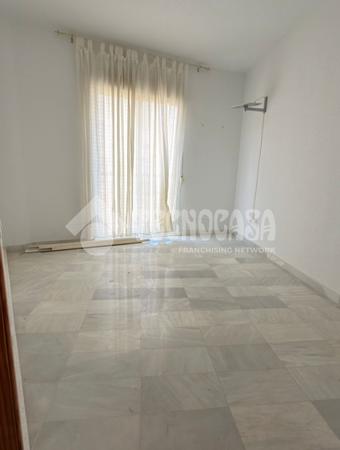Macael
