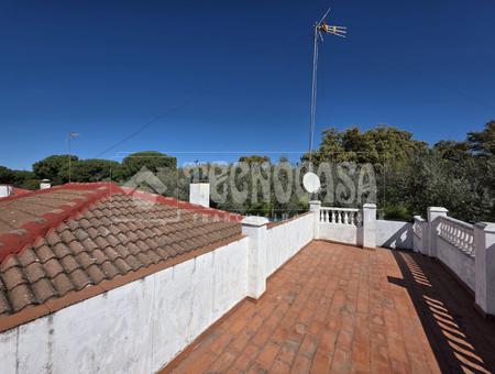 Sector Sur, Cordoba