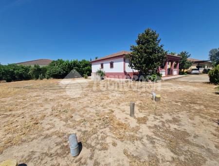 Levante - Lepanto - Fátima, Alcolea, Cordoba