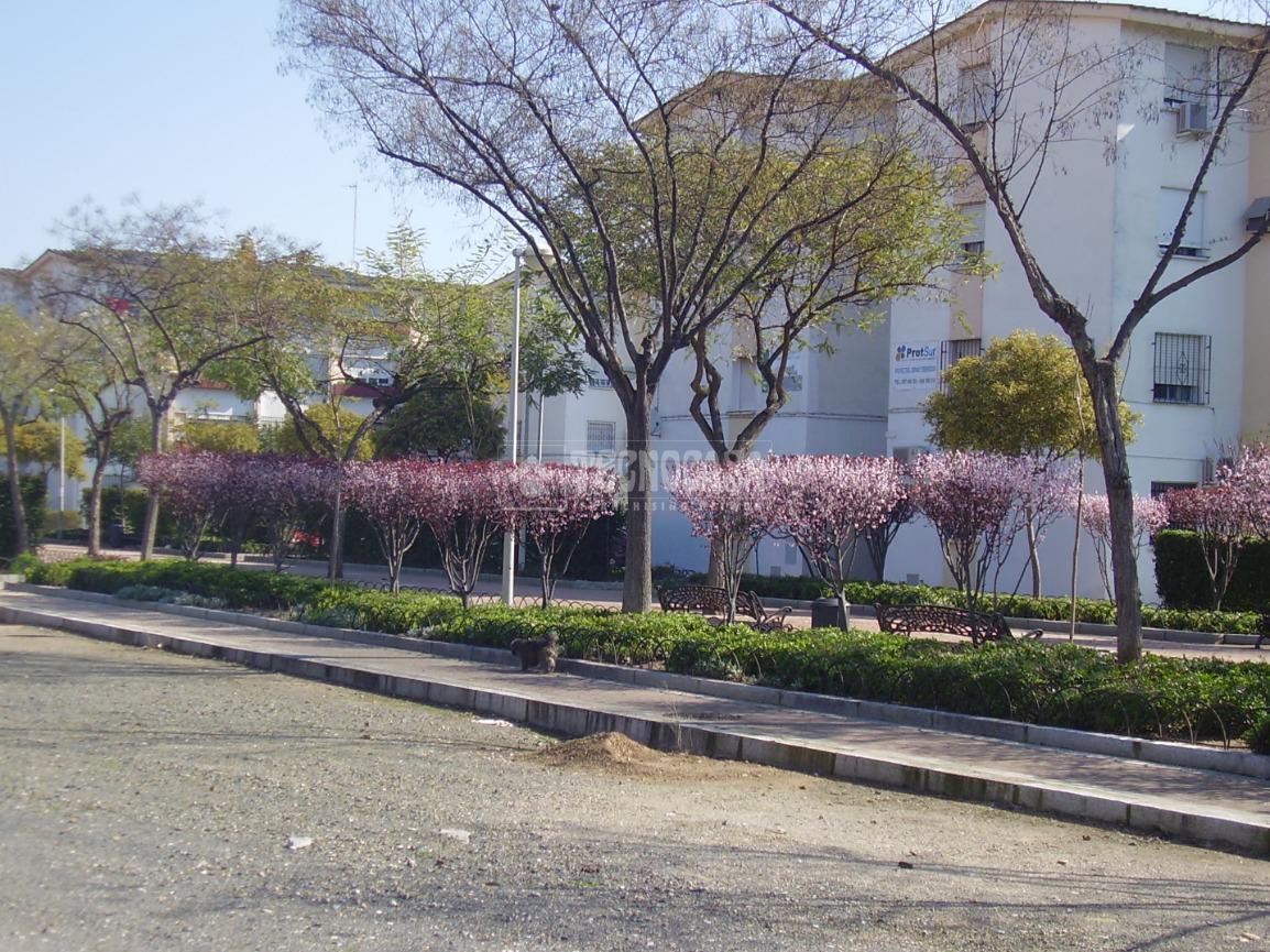Piso en venta 