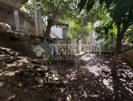 Calle Los Geranios, Teror