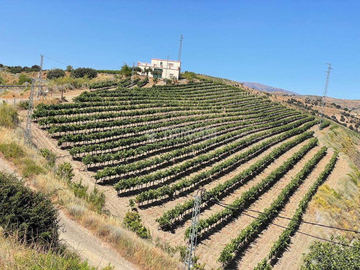 Casa rural en venta 