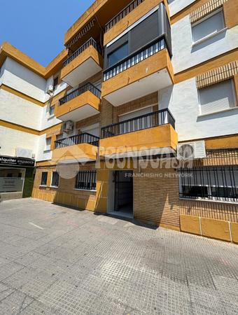 C. Lepe, Ayamonte
