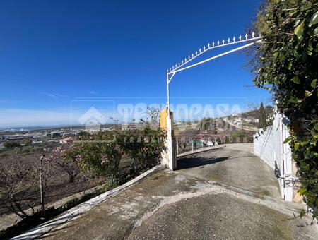 Martos