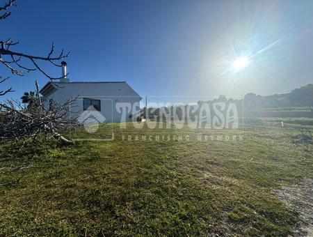 Estepona