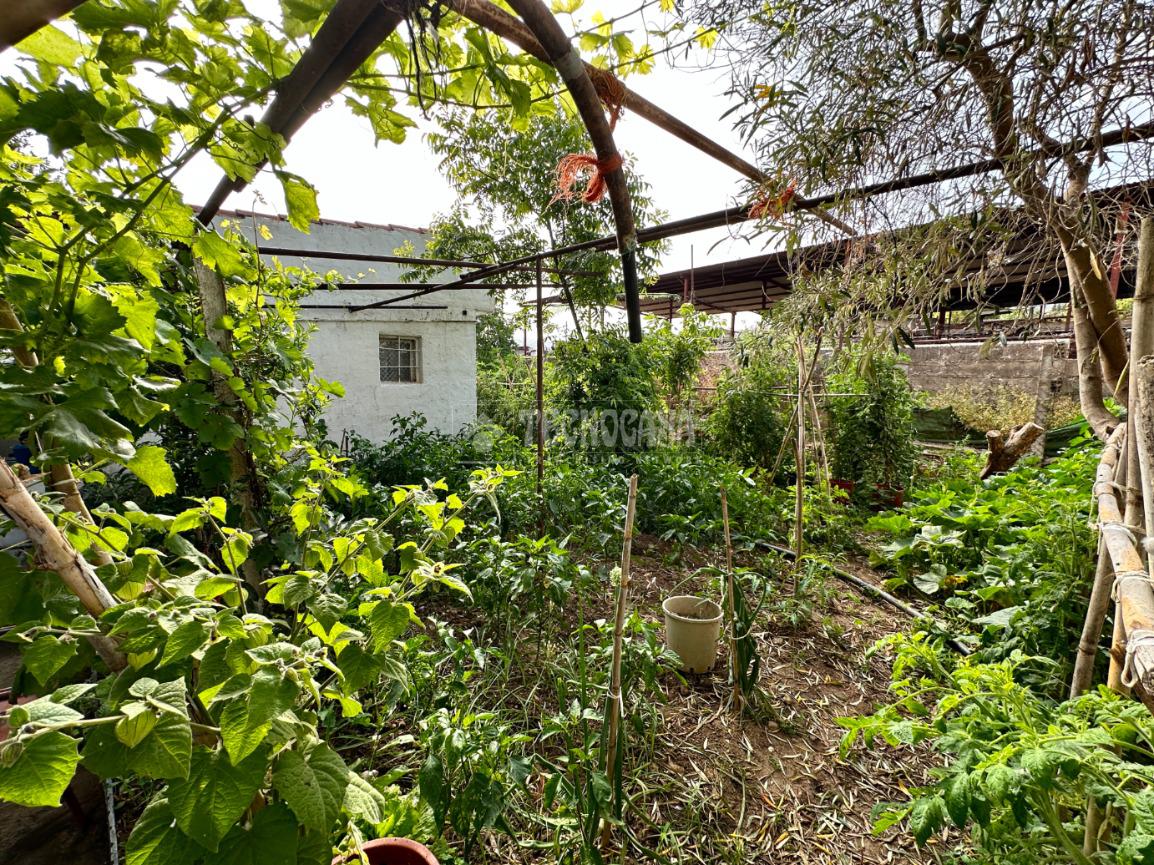 Casa rural en venta 