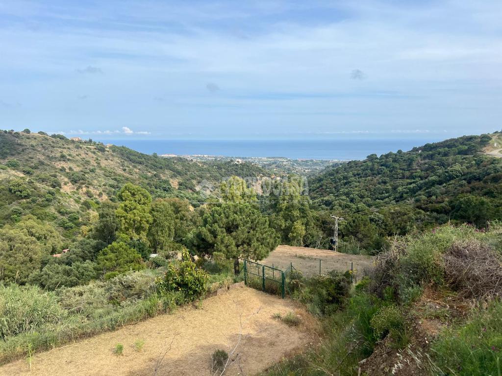 Esteco, Estepona, 40.000 €, 1000 m2