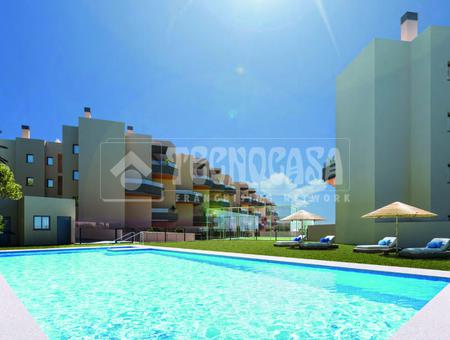 Torrox