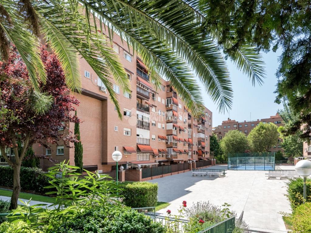 Santa Eugenia, Madrid