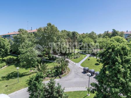 Parque Coimbra, Móstoles