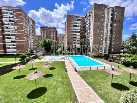 La Paz, Madrid