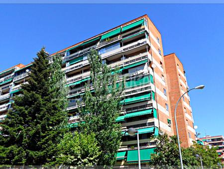 Zarzaquemada, Carrascal, Leganés