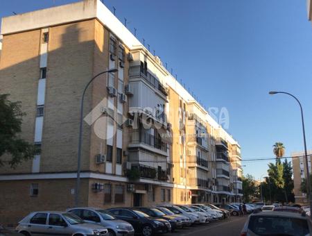Villegas - Los Príncipes, Macarena, Sevilla