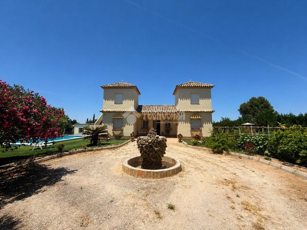 Calle Cadiz, Arahal