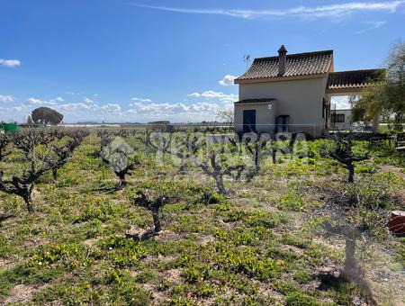 Los Palacios Y Villafranca