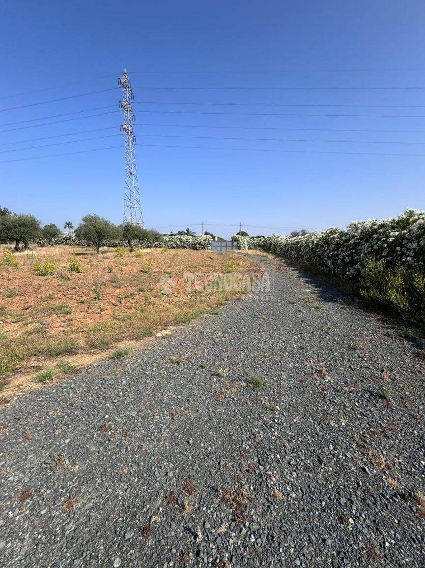 Terreno en venta en  Carmona  1/6