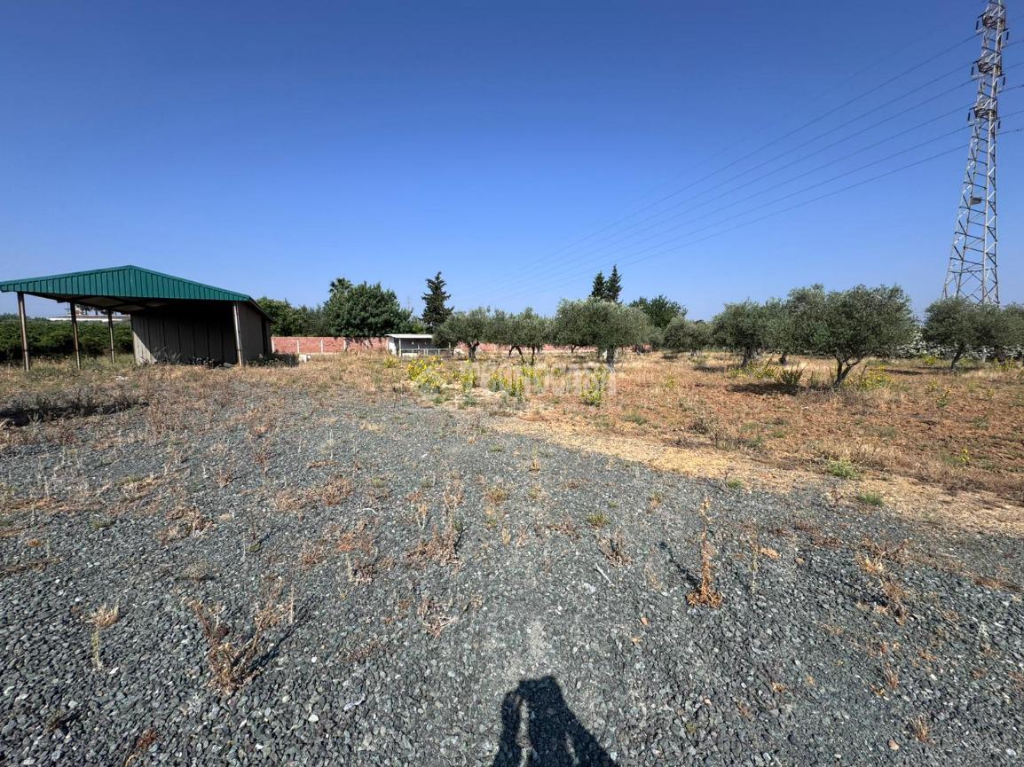 Terreno en venta en  Carmona  2/6