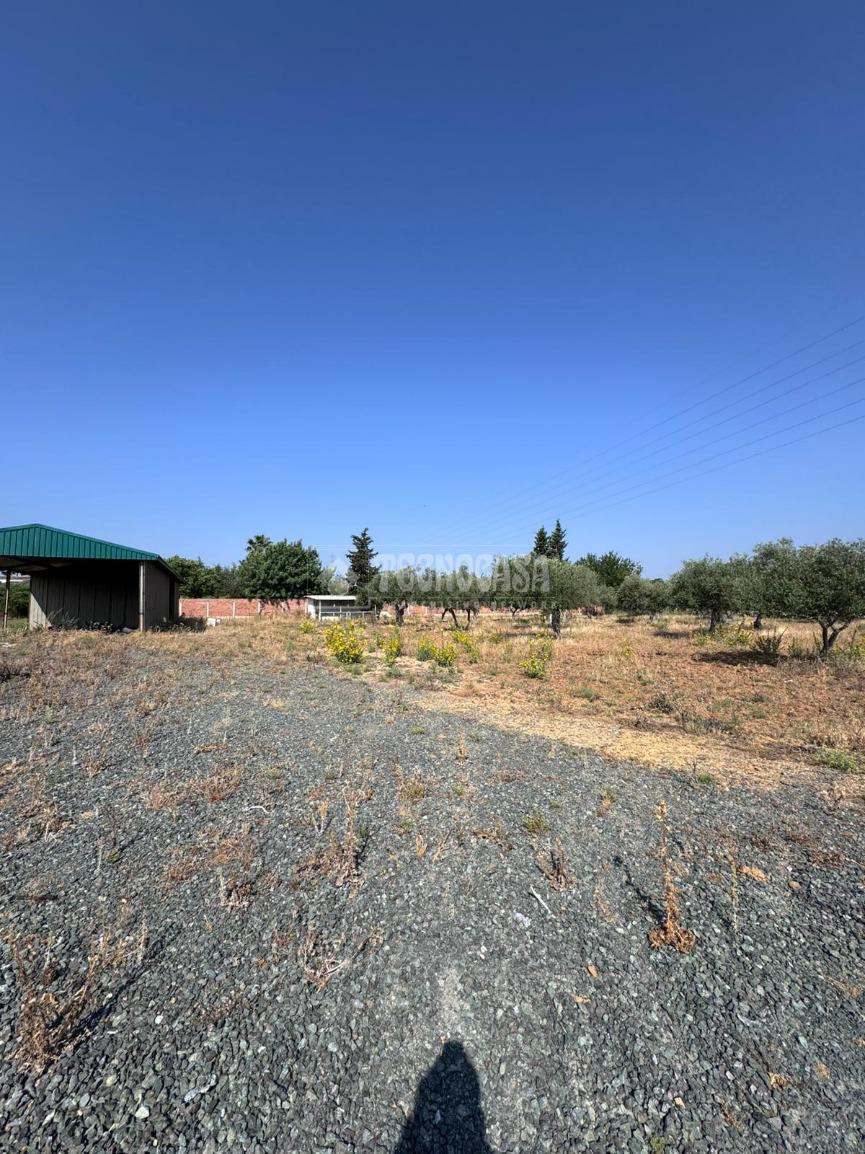 Terreno en venta en  Carmona  3/6