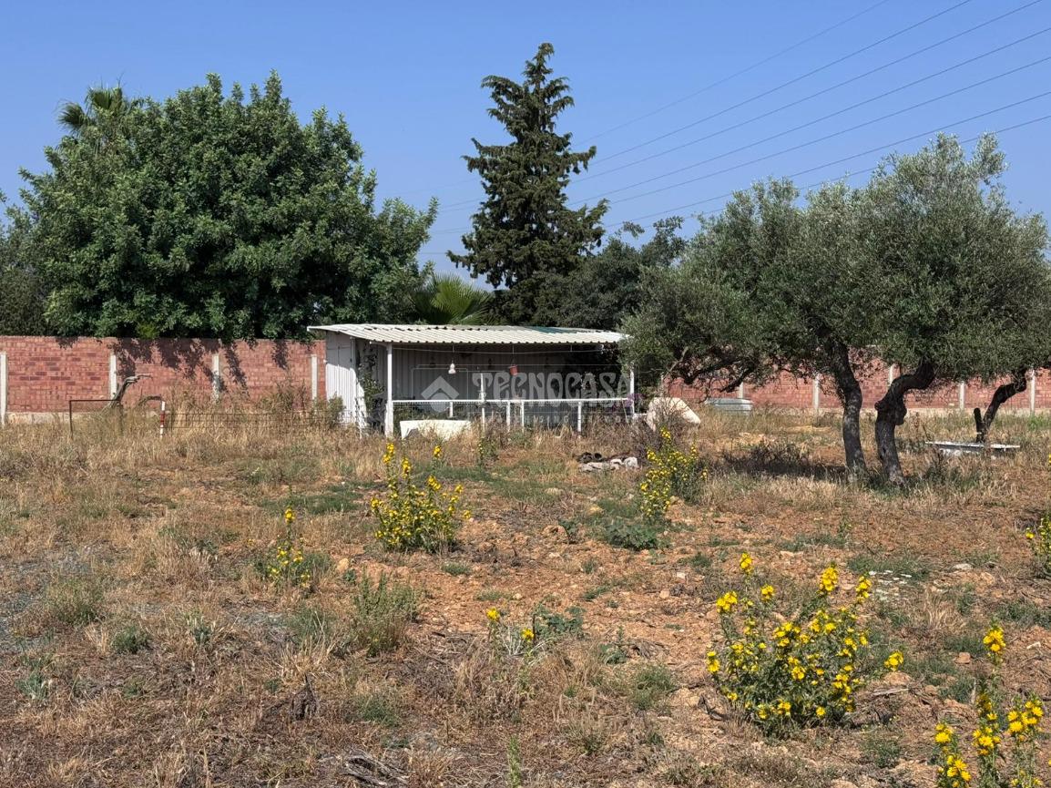 Terreno en venta en  Carmona  4/6
