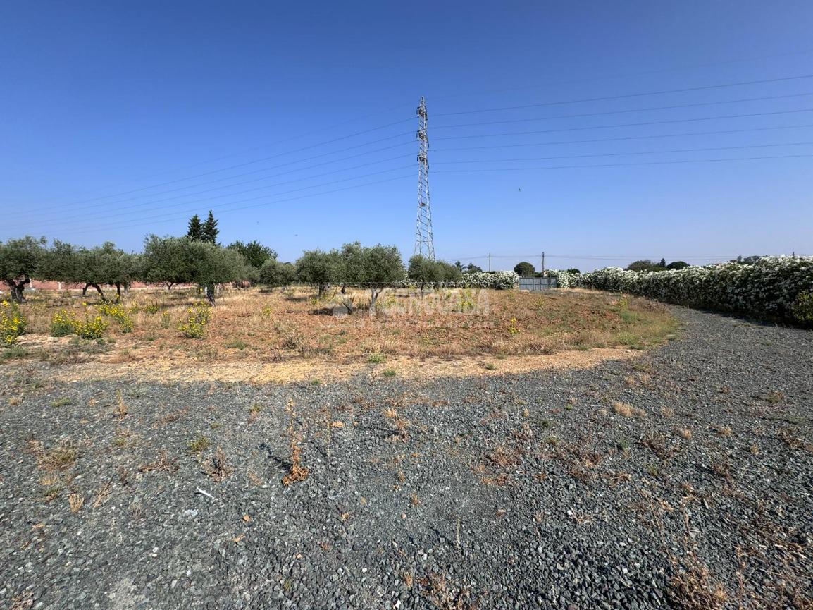 Terreno en venta en  Carmona  5/6