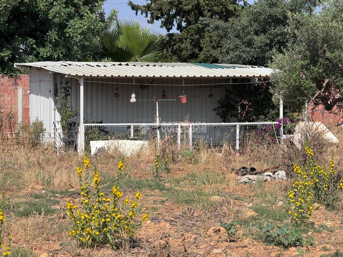 Terreno en venta en  Carmona  6/6