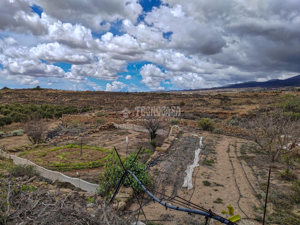 Terreno en venta  Santa Cruz de Tenerife, Villa De Arico  14/23