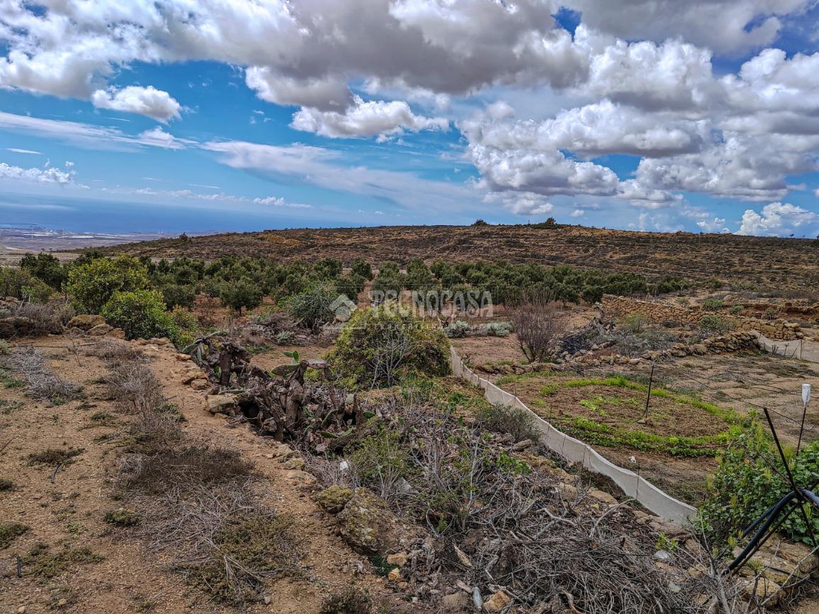 Terreno en venta  Santa Cruz de Tenerife, Villa De Arico  15/23