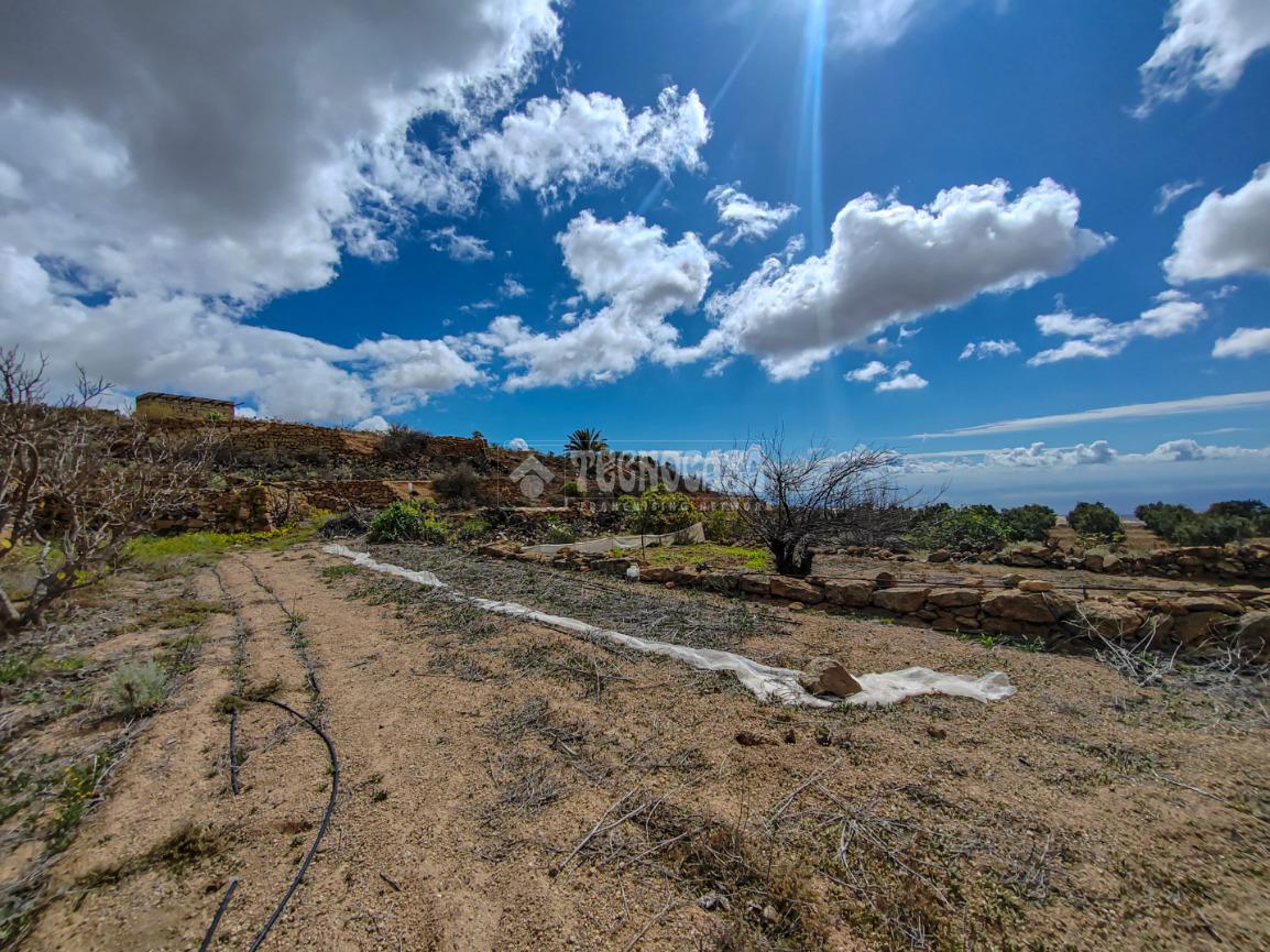 Terreno en venta  Santa Cruz de Tenerife, Villa De Arico  9/23
