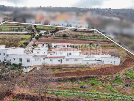 La Orotava