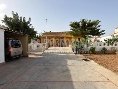 Paterna