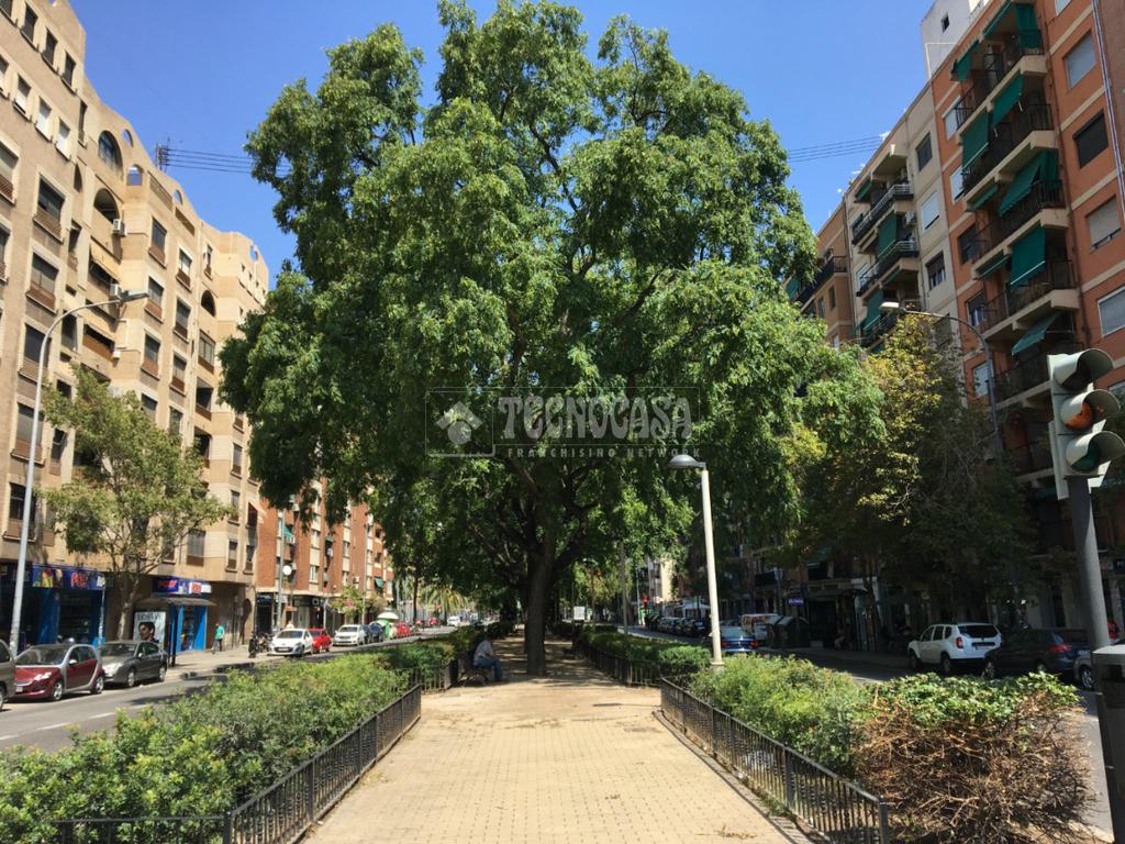 Dr. Manuel Candela, Valencia
