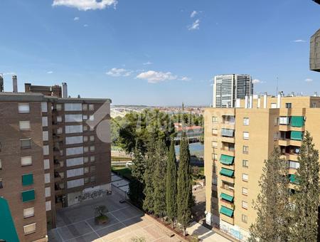 Bombarda - Monsalud, Zaragoza