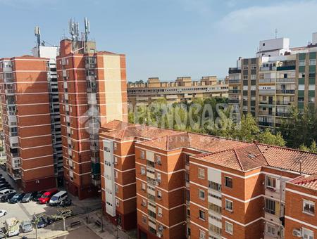 Picarral, Parque Goya, Zaragoza