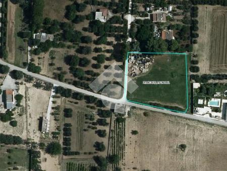 Ter. agricolo in vendita Francavilla Fontana, Via Per Manduria