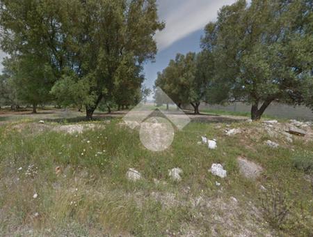 Ter. residenziale in vendita Francavilla Fontana, Terreno Zona Industriale