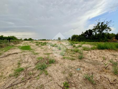 Ter. agricolo in vendita