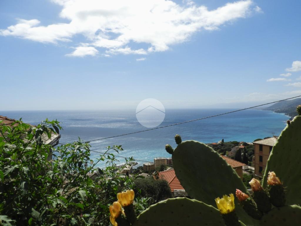 Appartamento – Camogli, San Rocco di Camogli