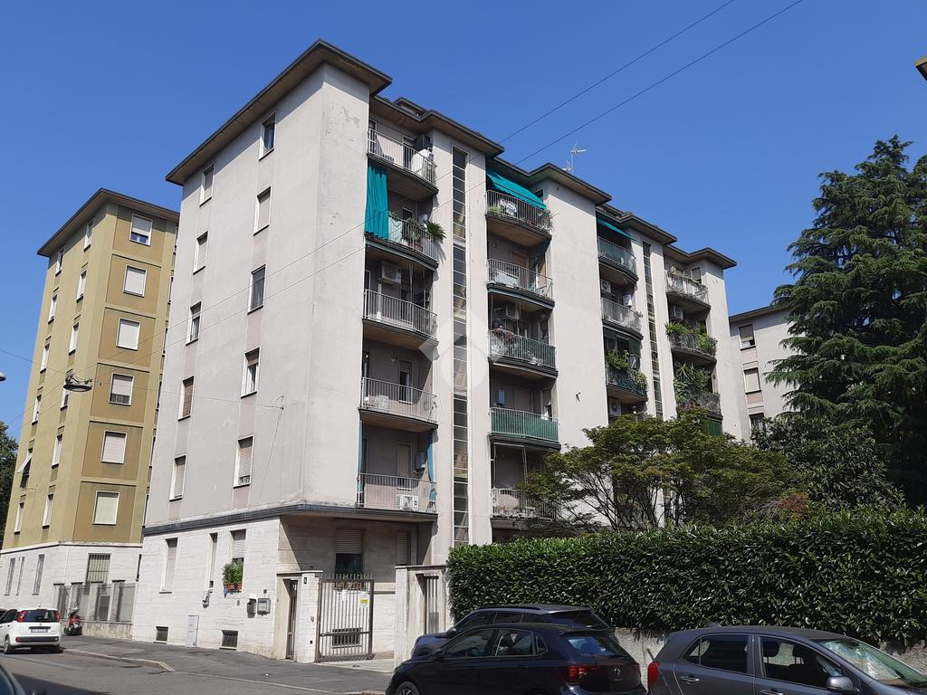 Trilocale in affitto