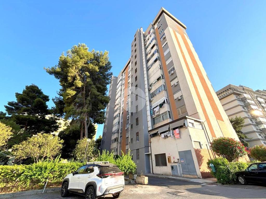 Quadrilocale in affitto