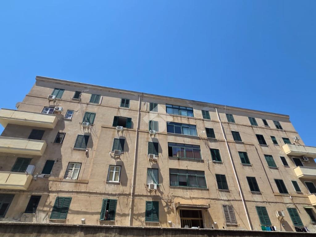 5 locali in affitto
