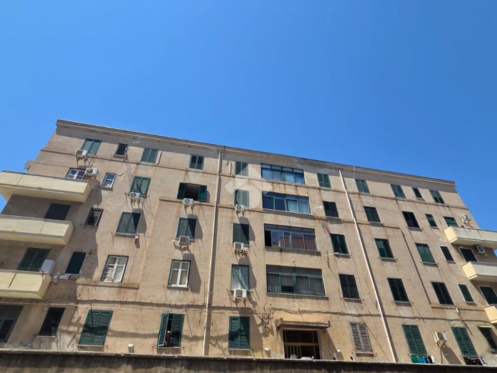 5 locali in affitto