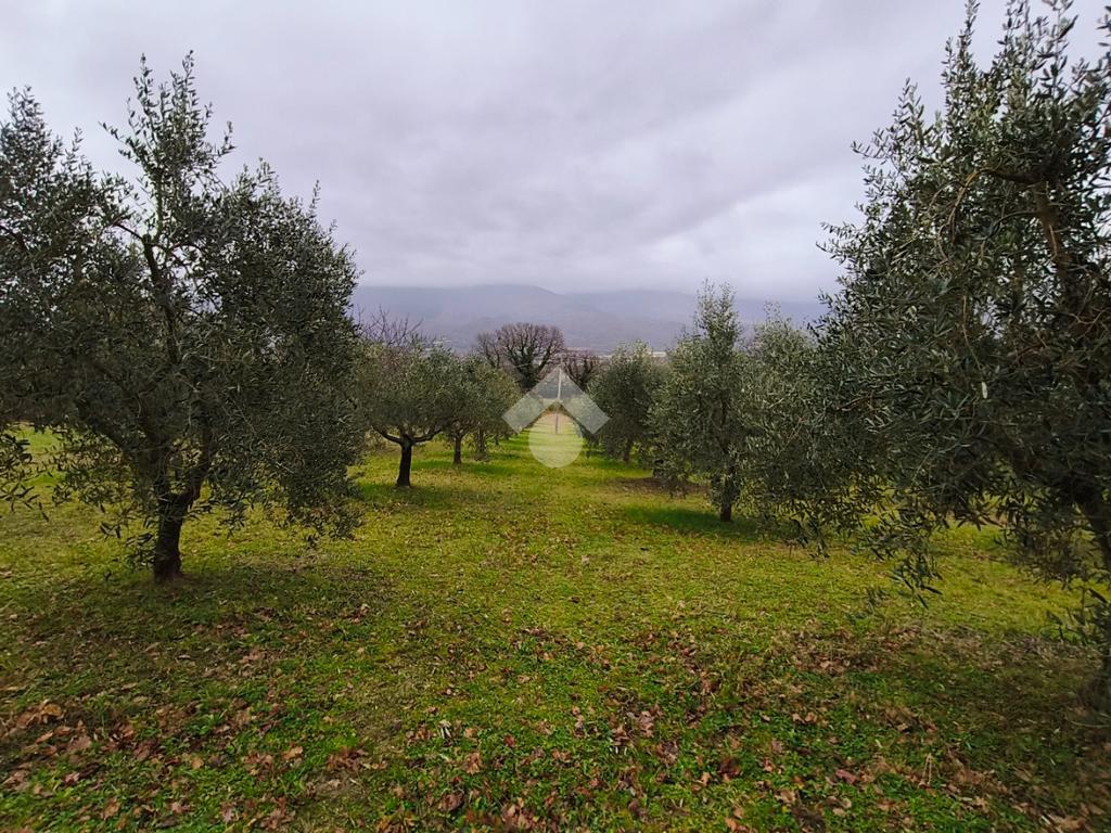 Ter. agricolo in vendita