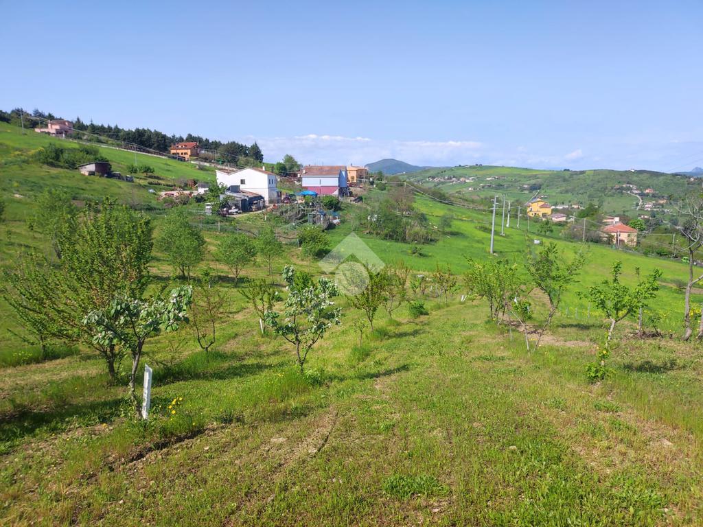 Ter. agricolo in vendita