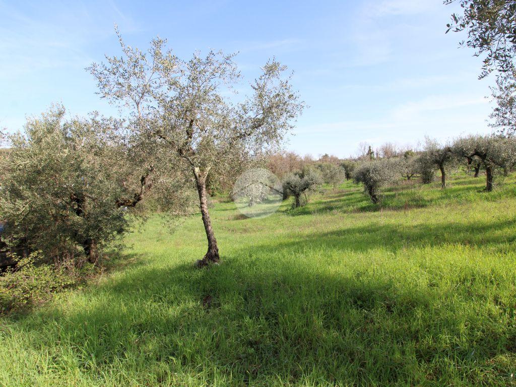 Casa indipendente in vendita