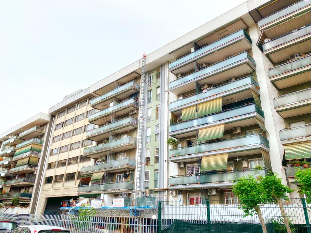 Quadrilocale in affitto
