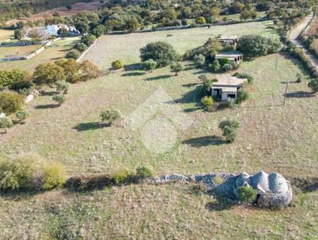 Villa a schiera in vendita Martina Franca, Contrada Chiancaro
