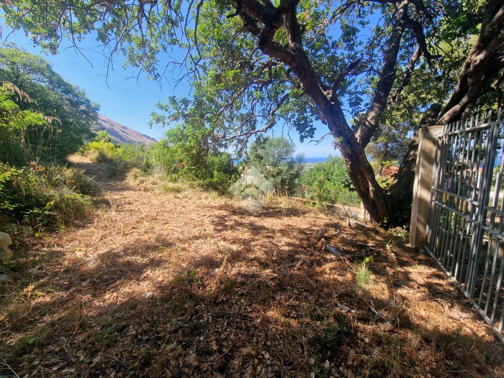 Terreno in vendita